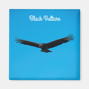 Black Vulture Magneet