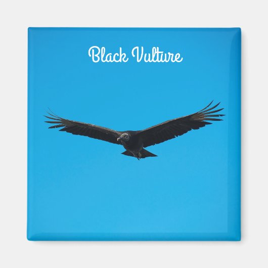 Black Vulture Magneet (Voorkant)