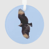 Black Vulture Ornament (achterkant)