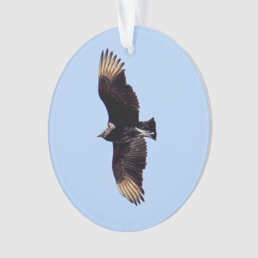 Black Vulture Ornament (voorkant)