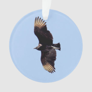 Black Vulture Ornament