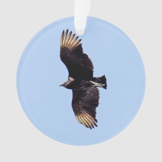 Black Vulture Ornament (voorkant)