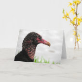 Black Vulture Wenskaart Kaart (Gele Bloem)