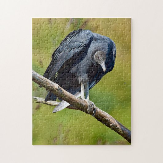 Black Vulture Wildlife Jigsaw Puzzle Legpuzzel (Verticaal)