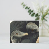 Black Vultures, John James Audubon Briefkaart (Staand voorkant)