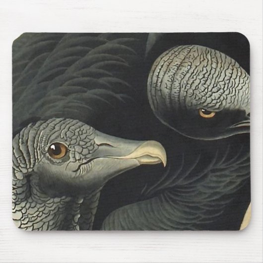 Black Vultures, John James Audubon Muismat (Voorkant)