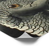 Black Vultures, John James Audubon Poster (Hoek)