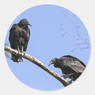 Black Vultures Ronde Sticker