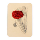 Black Watch Red hackle 2004 Magneet (Verticaal)