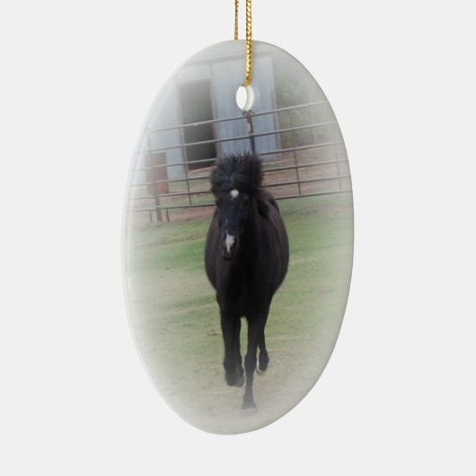 Black Welsh Pony Ornament (Rechts)