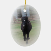Black Welsh Pony Ornament (Voorkant)