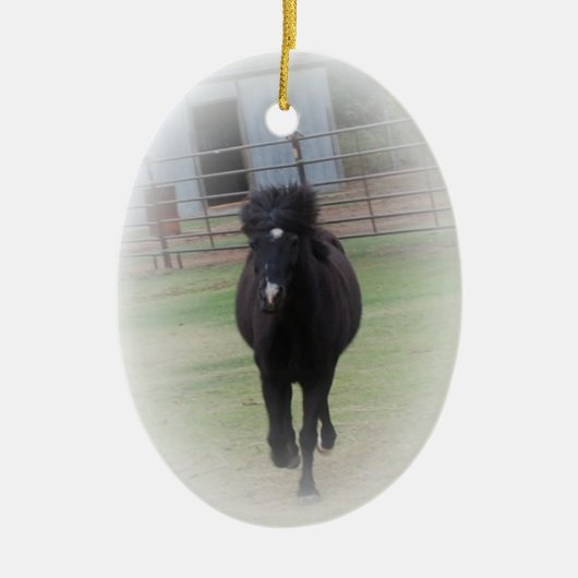 Black Welsh Pony Ornament (Voorkant)
