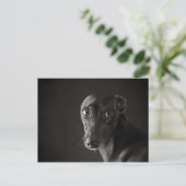 Black whippet briefkaart (Staand voorkant)