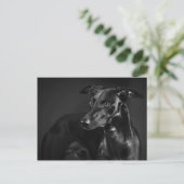 Black whippet briefkaart (Staand voorkant)
