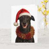 Black whippet in a Santa hat Christmas card Kaart (Gele Bloem)