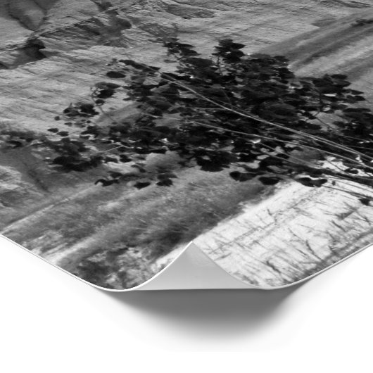 Black & White Badlands Rock Formaties 16x20 Poster (Hoek)