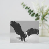Black & White Bald American Eagle Briefkaart (Staand voorkant)