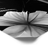 Black white Beach Ocean Palm Hibiscus bloemen Poster (Hoek)