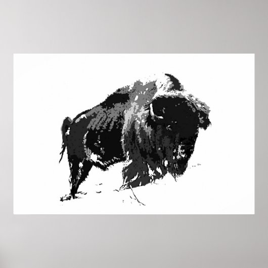 Black & White Bison Buffalo American Artwork Poster (Voorkant)