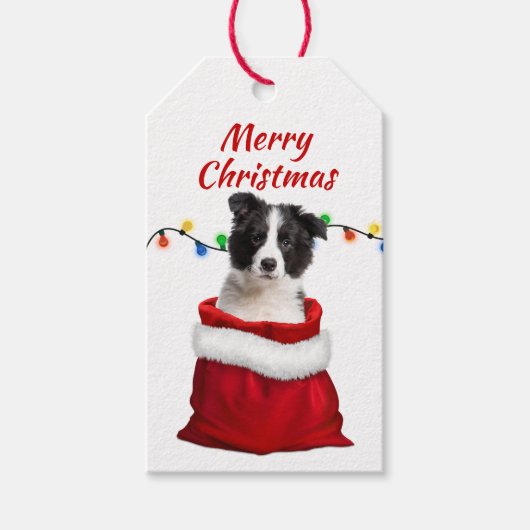 Black White Border Collie Puppy in Santa Bag Cadeaulabel (Voorkant)