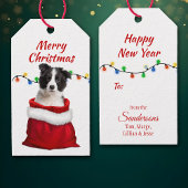 Black White Border Collie Puppy in Santa Bag Cadeaulabel