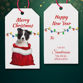 Black White Border Collie Puppy in Santa Bag Cadeaulabel