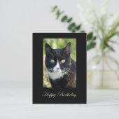 Black & White cat, Happy Birthday postcard. Briefkaart (Staand voorkant)
