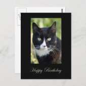 Black & White cat, Happy Birthday postcard. Briefkaart (Voorkant / Achterkant)