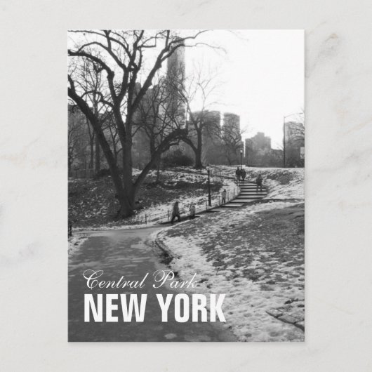 Black White Central Park New York Briefkaart (Voorkant)