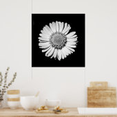 Black White Daisy Floral Art Botanische fotografie Poster (Keuken)