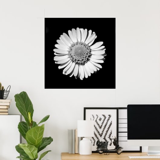 Black White Daisy Floral Art Botanische fotografie Poster (Thuiskantoor)