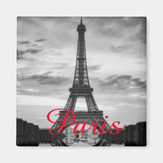 Black White Eiffel Tower Paris Love City Travel Magneet