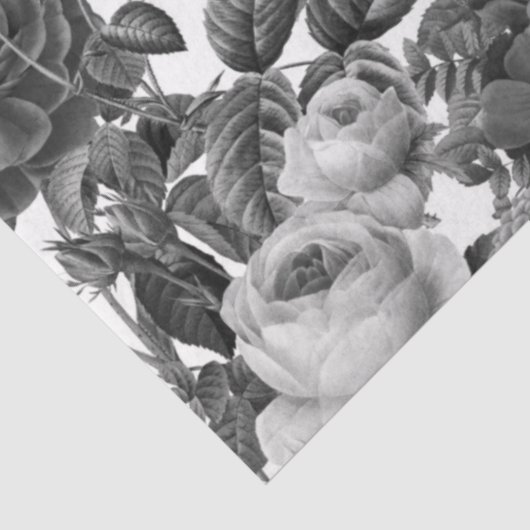 Black White Floral Tissuepapier (Detail)