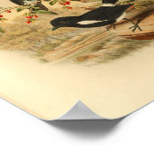 Black White Flycatcher Bird  1884 Print (Hoek)