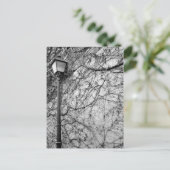 Black & White Foto van Paris Street Lamp Briefkaart (Staand voorkant)