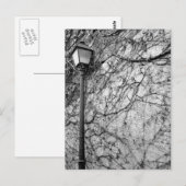 Black & White Foto van Paris Street Lamp Briefkaart (Voorkant / Achterkant)