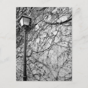 Black & White Foto van Paris Street Lamp Briefkaart