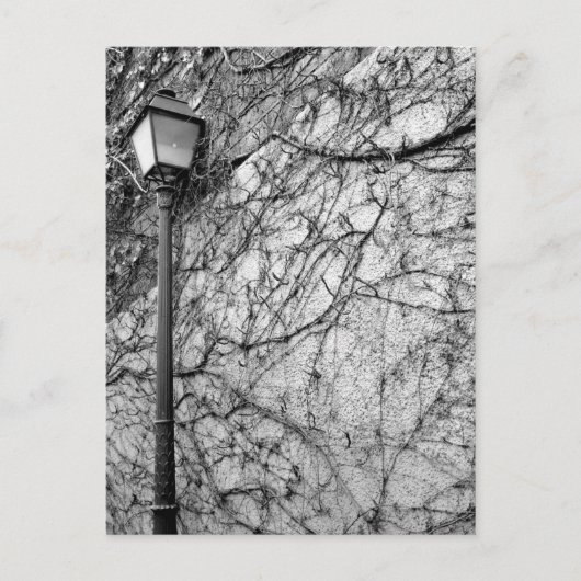 Black & White Foto van Paris Street Lamp Briefkaart (Voorkant)