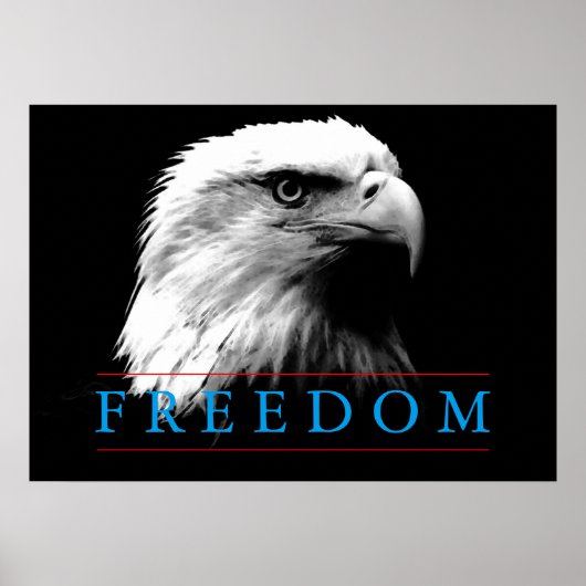Black White Freedom American Eagle Poster (Voorkant)