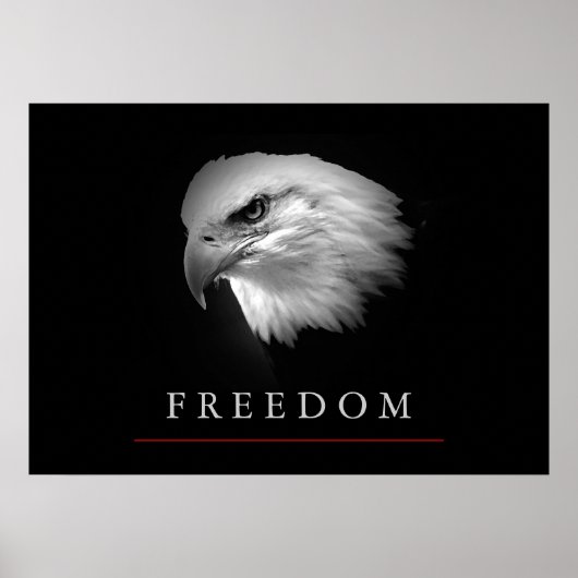 Black White Freedom Eagle Face Poster (Voorkant)
