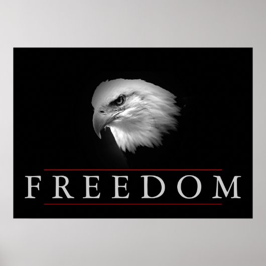 Black White Freedom Fearless Eagle Poster (Voorkant)