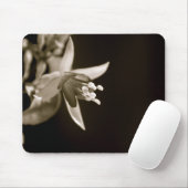 Black/White Fuschia Mousepad Muismat (Met muis)