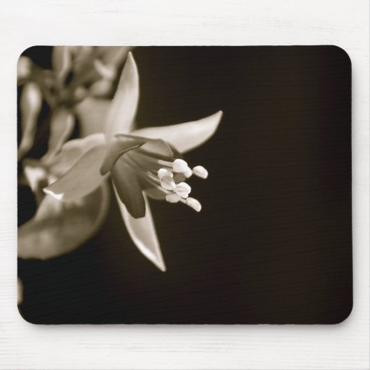 Black/White Fuschia Mousepad Muismat (Voorkant)