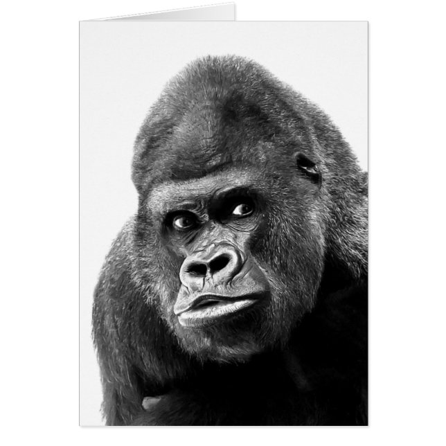 Black White Gorilla (Voorkant)