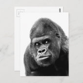 Black White Gorilla Briefkaart (Voorkant / Achterkant)