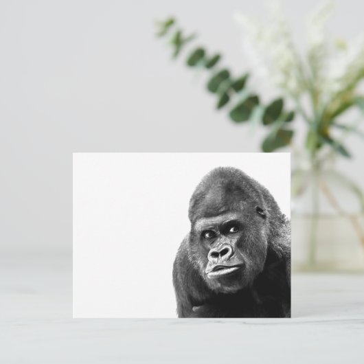 Black White Gorilla Briefkaart (Staand voorkant)