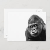 Black White Gorilla Briefkaart (Voorkant / Achterkant)