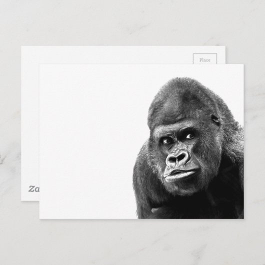 Black White Gorilla Briefkaart (Voorkant / Achterkant)