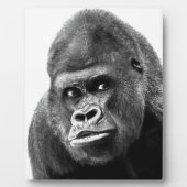 Black White Gorilla Fotoplaat (Voorkant)