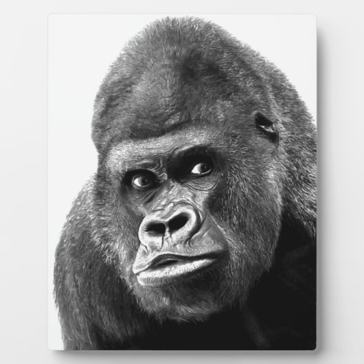 Black White Gorilla Fotoplaat (Voorkant)